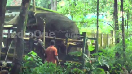 കാളികാവിലെ കടുവാ ദൗത്യം; പ്രദേശത്ത് 20 ക്യാമറാ ട്രാപ്പുകൾ, നിരീക്ഷണം ശക്തം | Malappuram tiger