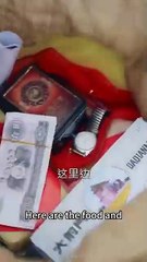 Cinderella travels back to the novel wins back her husband and makes her whole family love her