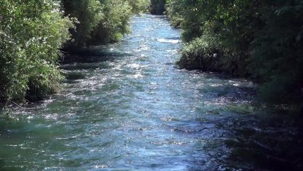 Crystal Sounds and Light Pads