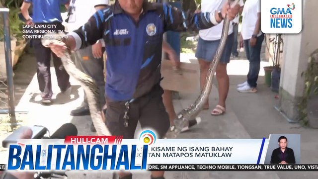 Sawa, nasagip mula sa kisame ng isang bahay sa Brgy. Basak; 1, sugatan matapos matuklaw ng sawa | Balitanghali