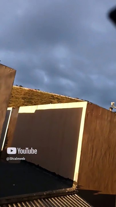 🕊️🌠 Seres alados llegan volando al techo del vecino 🏡 ¡Vienen a visitarme cada día! ✨ #Shorts