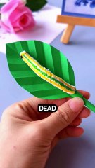 He Woke Up in the Morgue... After Being Declared Dead! 😱