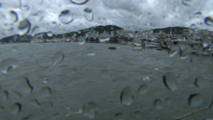 [날씨] 남해안·제주 '호우주의보'...중서부 요란한 소나기 / YTN