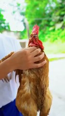 #funny shorts#viral video #comedy#chinese