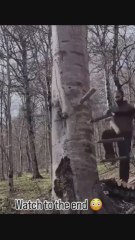 Construye una casa completa en un árbol y el resultado deja sin palabras