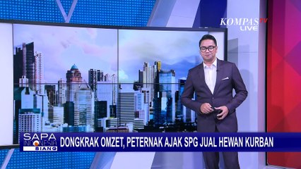 Manfaatkan SPG Jelang Idul Adha, Penjualan Sapi Kurban di Yogyakarta Meningkat Tajam