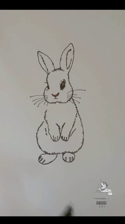 Rabbit drawing