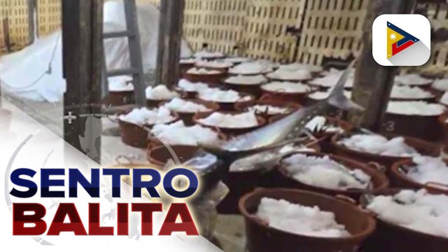 20 tonelada ng isda, nabili ng pamahalaan sa mga Pilipinong mangingisda sa Bajo De Masinloc sa ilalim ng KBBM Project; tuloy-tuloy na bentahan ng P20/kg na bigas, tiniyak ng Malacañang