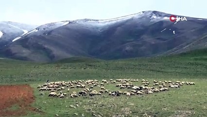 Bu iki fotoğraf aynı ilimizde çekildi: Bir yanda kış diğer yanda bahar!
