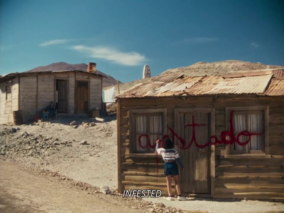 The Mysterious Gaze of the Flamingo Clip OmeU