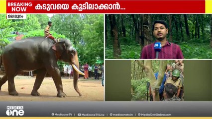 മലപ്പുറം കാളികാവിലെ നരഭോജി കടുവയെ പിടികൂടാനായി കൂട് സ്ഥാപിച്ചു | TIGER