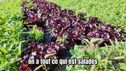 Les halles des Sœurs Blanches – épisode 14
