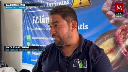 Gusano barrenador paraliza ganado en el sur de México y afecta a la delincuencia