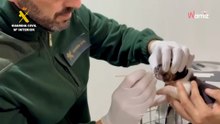Para el coche y una cámara lo caza haciendo algo repugnante en Zaragoza