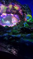 "Live Cartoon Fun! Epic Water Adventure at the Amusement Park!"