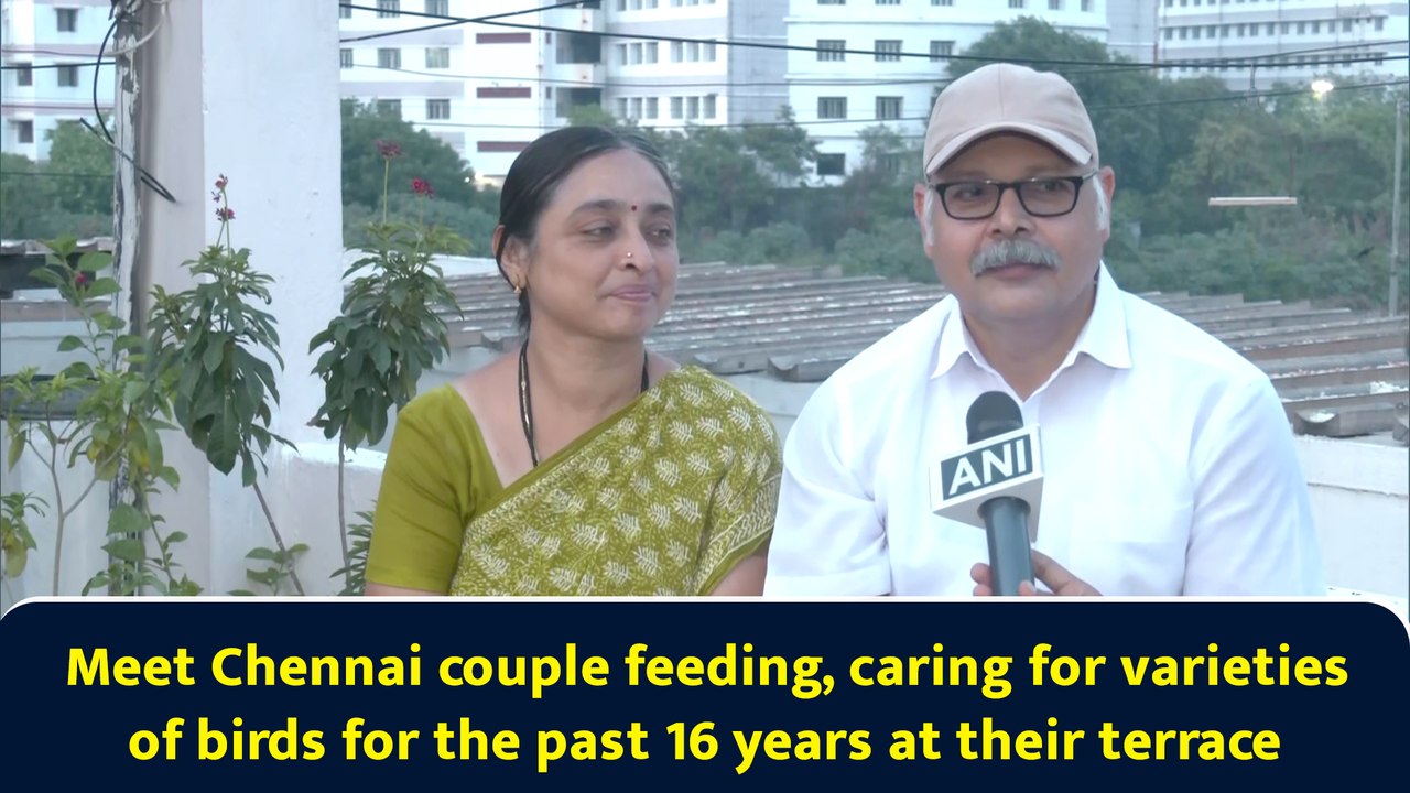 Meet Chennai couple feeding, caring for varieties of birds for the past 16 years at their terrace