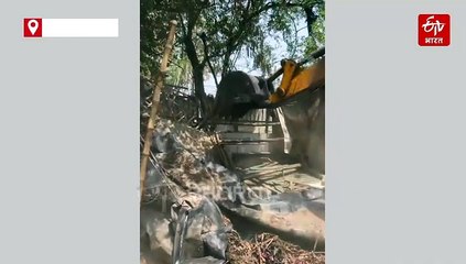 Watch video: भाजपा विधायक रविंद्र सिंह नेगी ने सट्टा के अड्डे पर चलवाया बुलडोजर