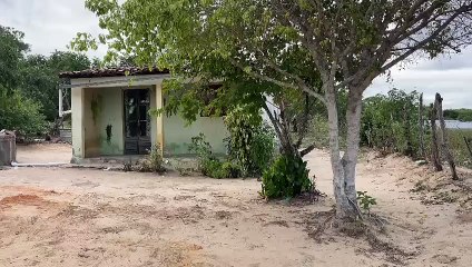 Vídeo mostra residência onde ocorreu chacina no interior de Alagoas