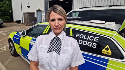 Chf Insp Emma Cheney of South Yorkshire Police says record dog injuries are a 'social catastrophe'
