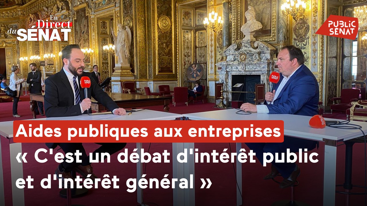 En direct du Sénat - Aides publiques aux entreprises : "c'est un débat d'intérêt public et d'intérêt général"