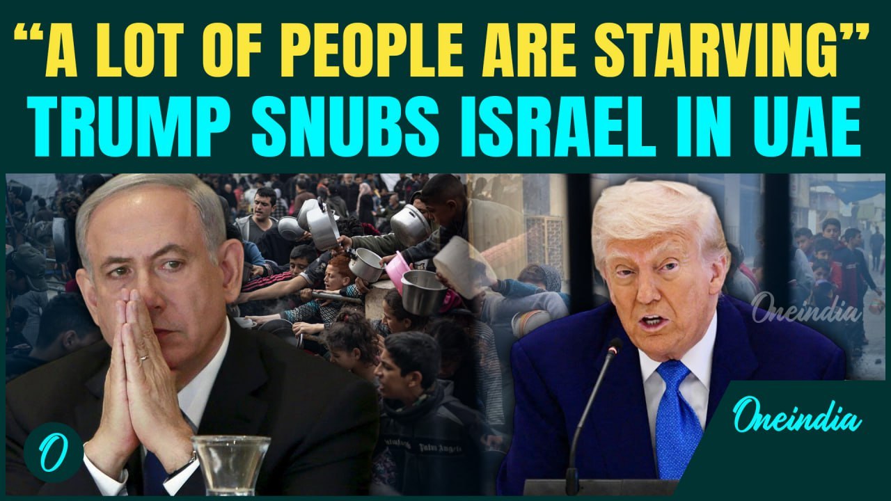 'We'll Handle Gaza' : Trump's Gaza Message STUNS Allies A Day After Israel Kills 56 Palestinians