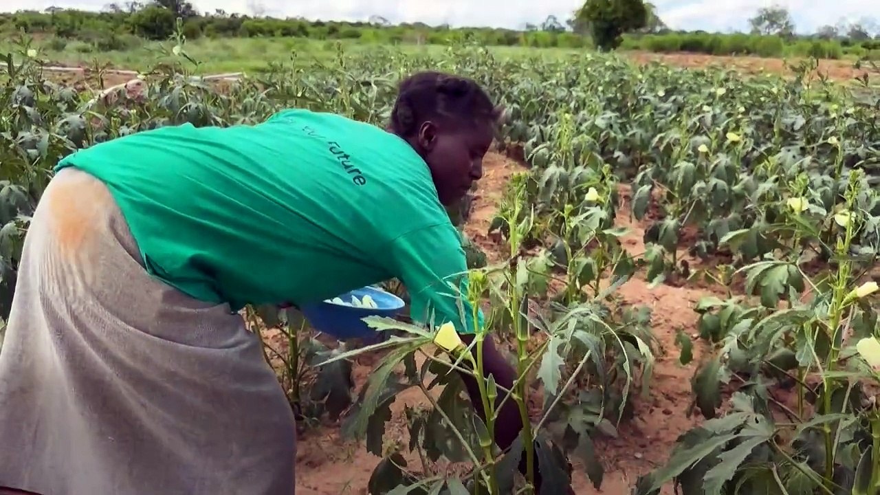 Can cash handouts replace traditional aid? Kenya offers a glimpseReplaceAidKenyaOffersSomeAns