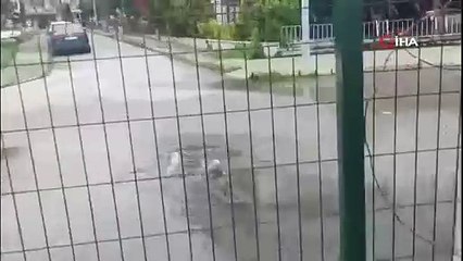 Çınarcık Belediyesi'ne 1,3 Milyon Lira Ceza Kesildi!