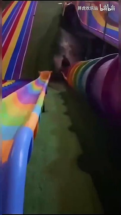 Years of merit, destroyed in an instant#Hilarious Collection #Funniest Pranks Compilation 2025  #Try Not to Laugh Challenge! 爆笑合集 | 最搞笑的恶作剧合集 2025 | 尽量不要笑挑战！