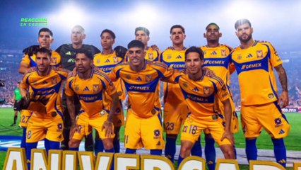 Reacción en cadena - jueves 15 de mayo 2025