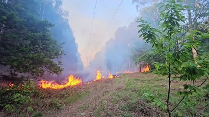 Arsonists strike again at Shaw Wood in Armthorpe