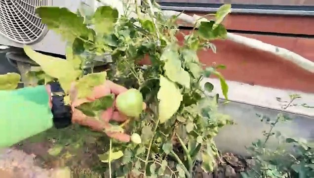 Jahaz pro max sold forcefully😭Haider is back with emotional entry🥺