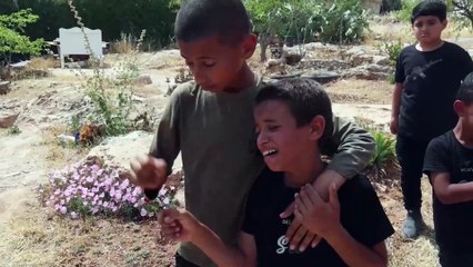 Un centenar de muertos en Gaza por ataques de Israel a lo largo del día