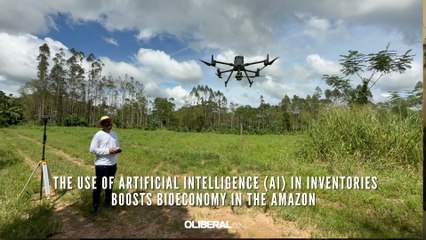 The use of artificial intelligence (AI) in inventories boosts bioeconomy in the amazon