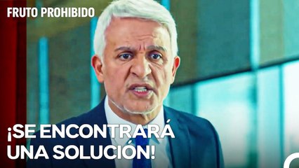 ¡No Quiero A Ese Hombre En Mi Empresa! - Fruto Prohibido Capitulo 54