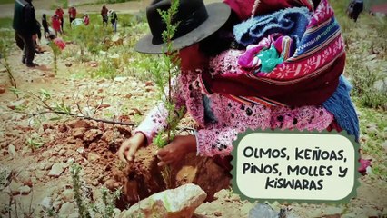 GENERACIÓN ASIA - EN TU IDIOMA : ENHYPEN MOONSTRUCK