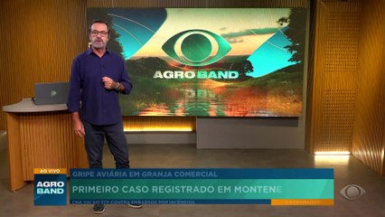 Brasil tem primeiro caso de gripe aviária em granja comercial no RS