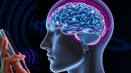 Những Tác Động Của Sóng Điện Thoại Đến Các Rối Loạn Thần Kinh Dài Hạn – Bạn Có Thể Đang Bị Ảnh Hưởng