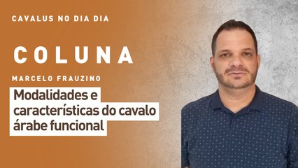 Cavalus no Dia Dia: modalidades e características do cavalo árabe funcional