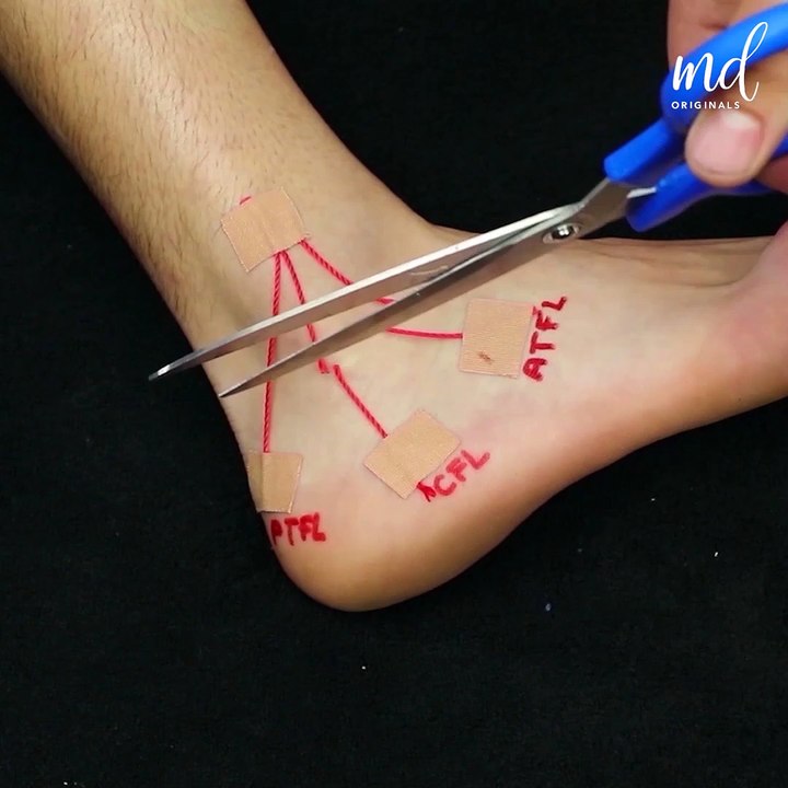 Massage therapy sessions & taping techniques