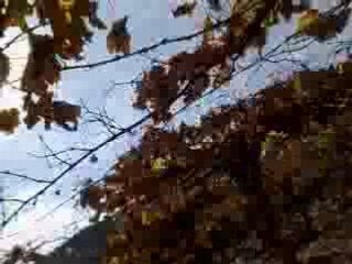 2007-12-08-Cruzando el Parral