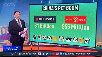 China's pet boom: "Pet economy is important part of the discretionary consumption"
