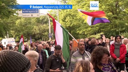 Molinóval és vörös festékkel is tiltakoztak az ún. átláthatósági törvényjavaslat ellen Budapesten