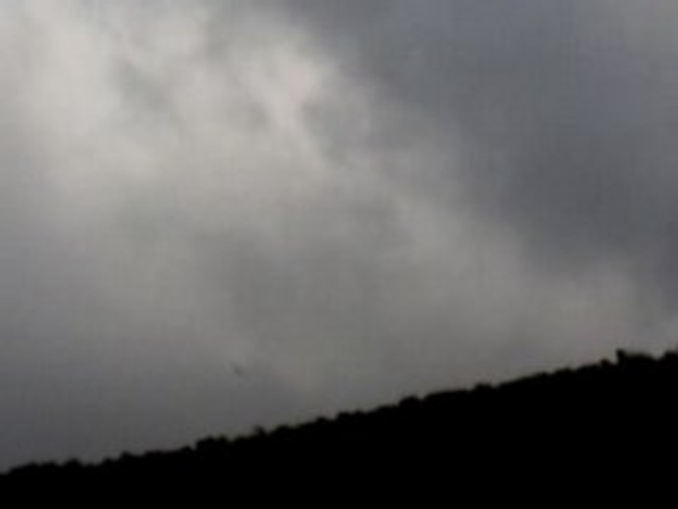 2008-02-09-un-aguila