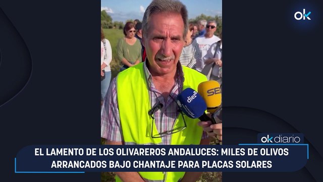 Jorge Buxadé (Vox): Bruselas es una ciénaga de corrupción