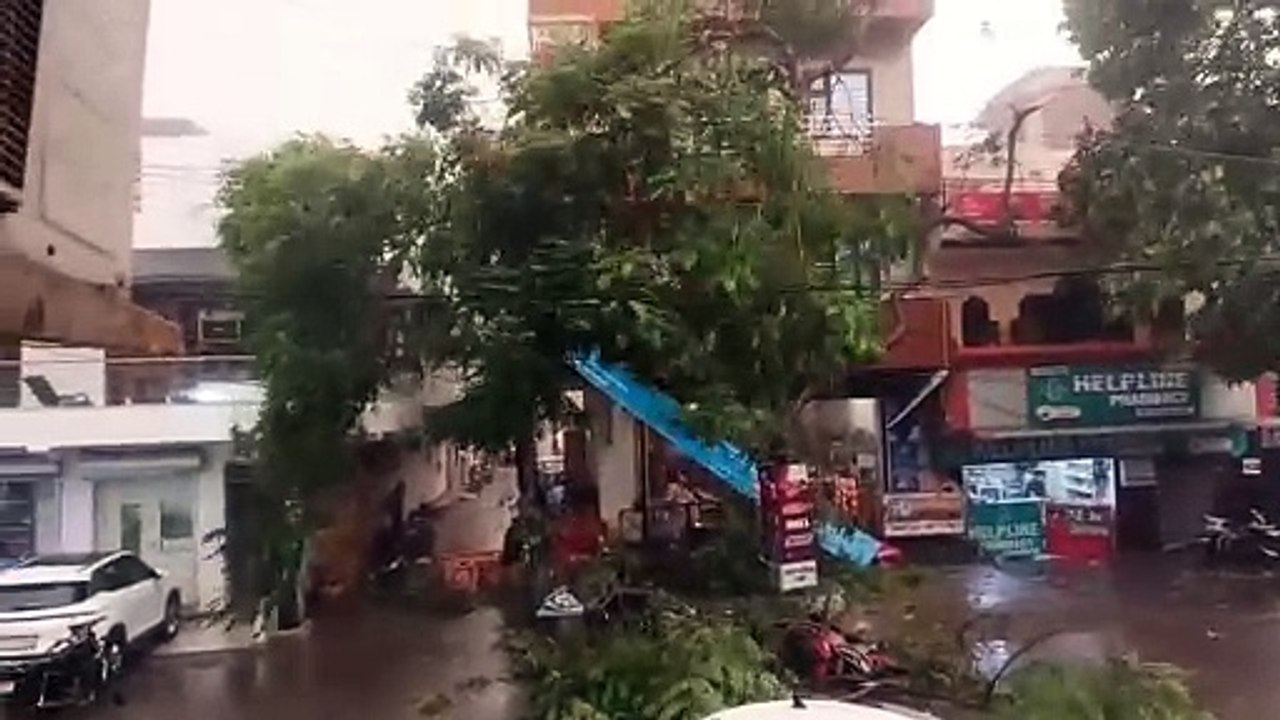 फरीदाबाद में तबाही! तेज तूफान से पेड़, खंभे और दीवारें गिरीं, बाल-बाल बचे लोग, बिजली आपूर्ति भी ठप