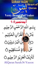 Al-Quran - Surah 36 - yaseen - Ayah 1-5 | tilawat | daily islamic tv