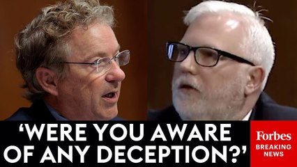 Rand Paul Grills State Department Nominee About Ex-Trump Official Paul Says Committed 'Treason'
