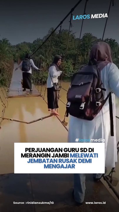 Perjuangan Guru SD di Merangin Jambi Melewati Jembatan Rusak Demi Mengajar