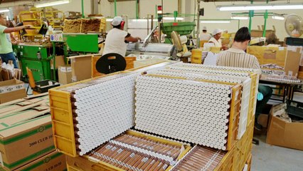 Charutos cubanos industriais: o cobiçado caçula dos 'habanos'