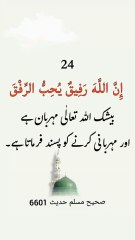 24 Yaad karane keliye chhoti chhoti Hadees